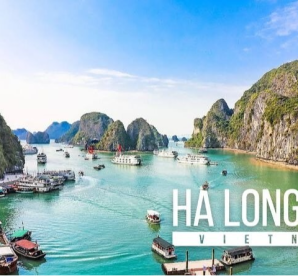 Orchid Classic Cruise Halong Bay Join In Cruise