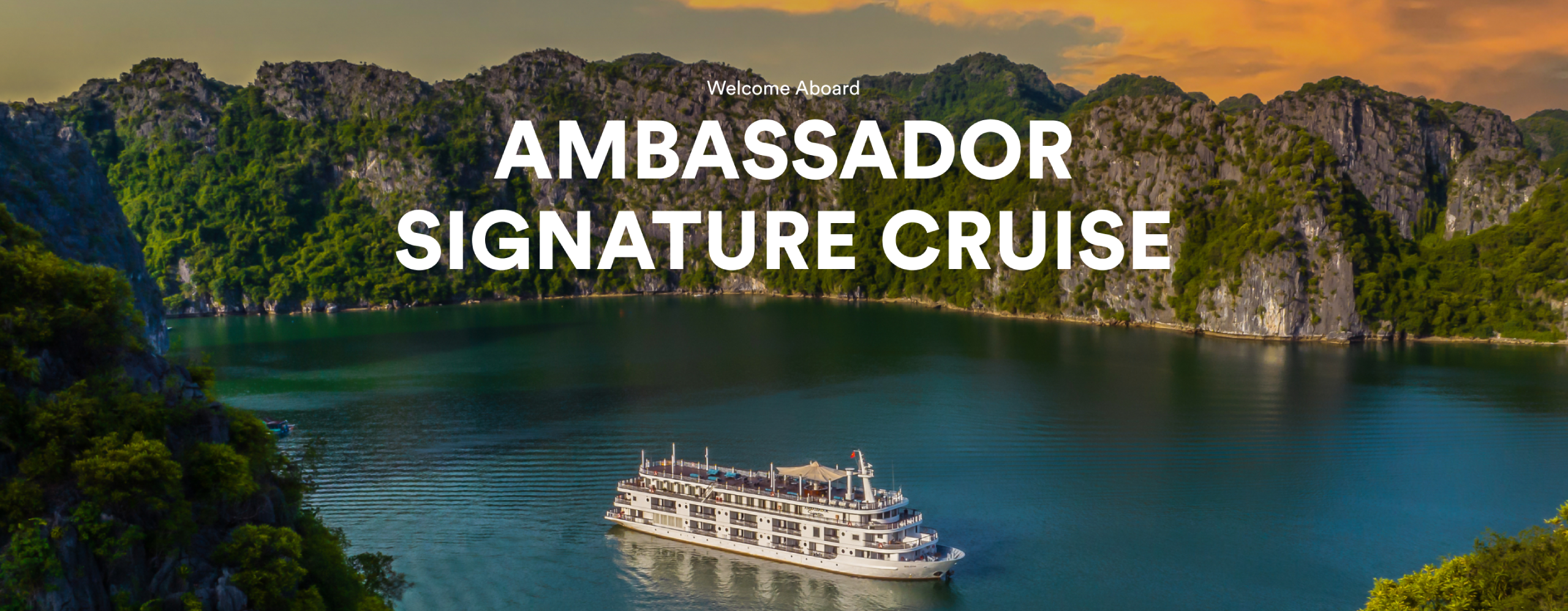 Ambassador Signature Cruise