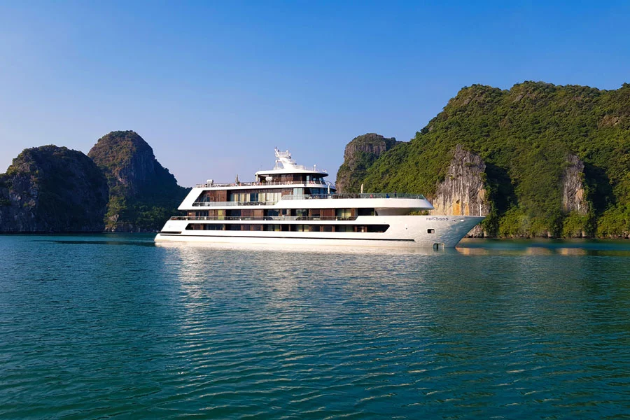 Stellar Of The Seas