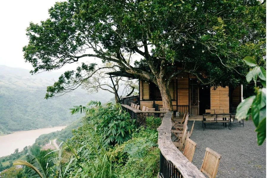 Khe Sanh Coffee Plantation Near Hue & Quang Tri: Is It Worth Visiting?