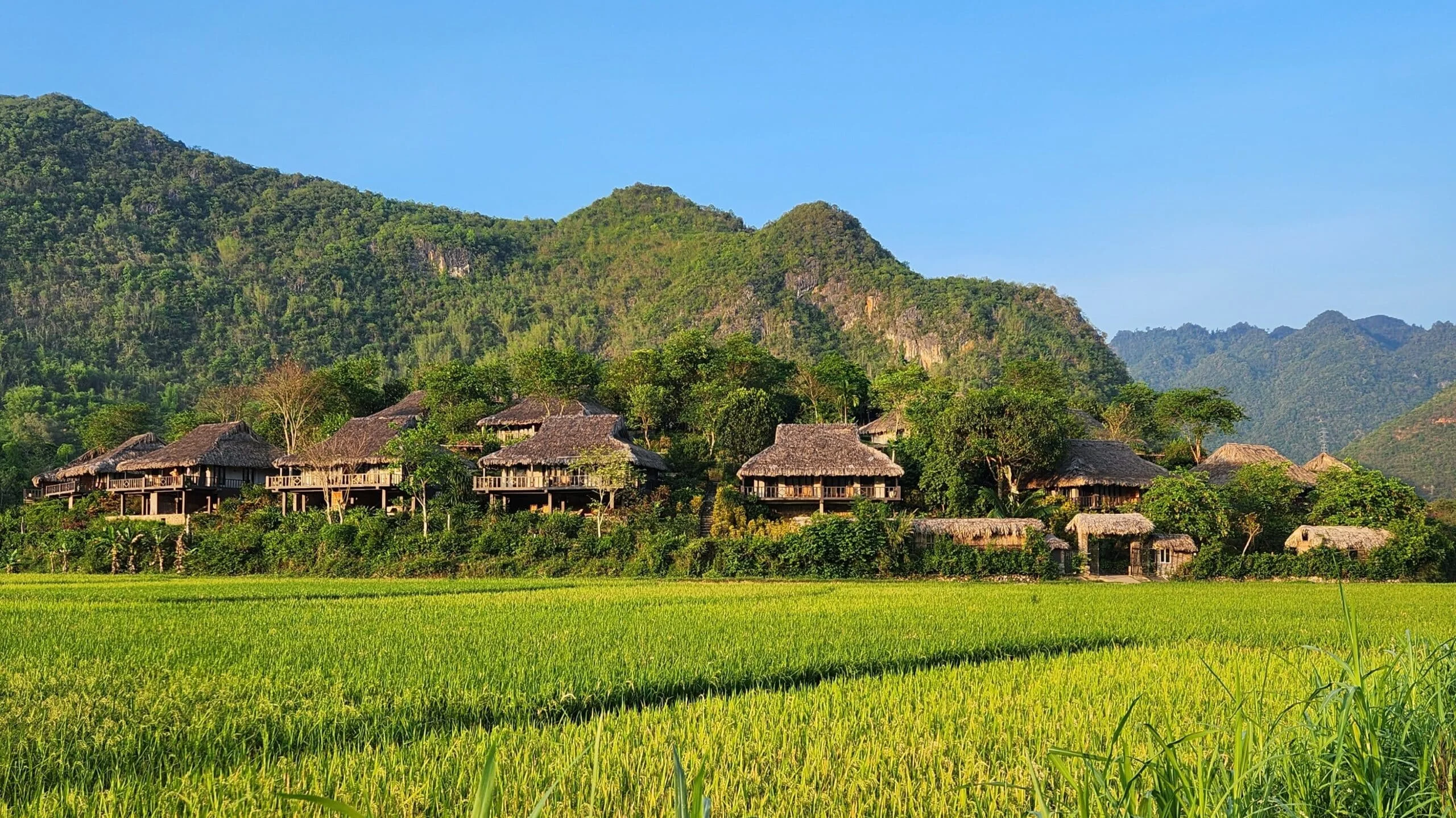 Where to Stay in Mai Châu & Pu Luong: Best Homestays, Lodges & Guide