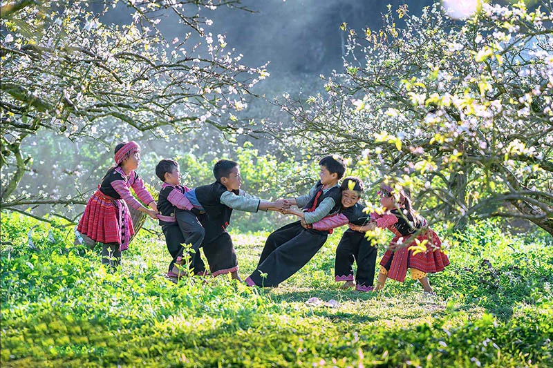 Moc Chau Highlands: Fresh Farms, Tea Hills & Best Things to Do