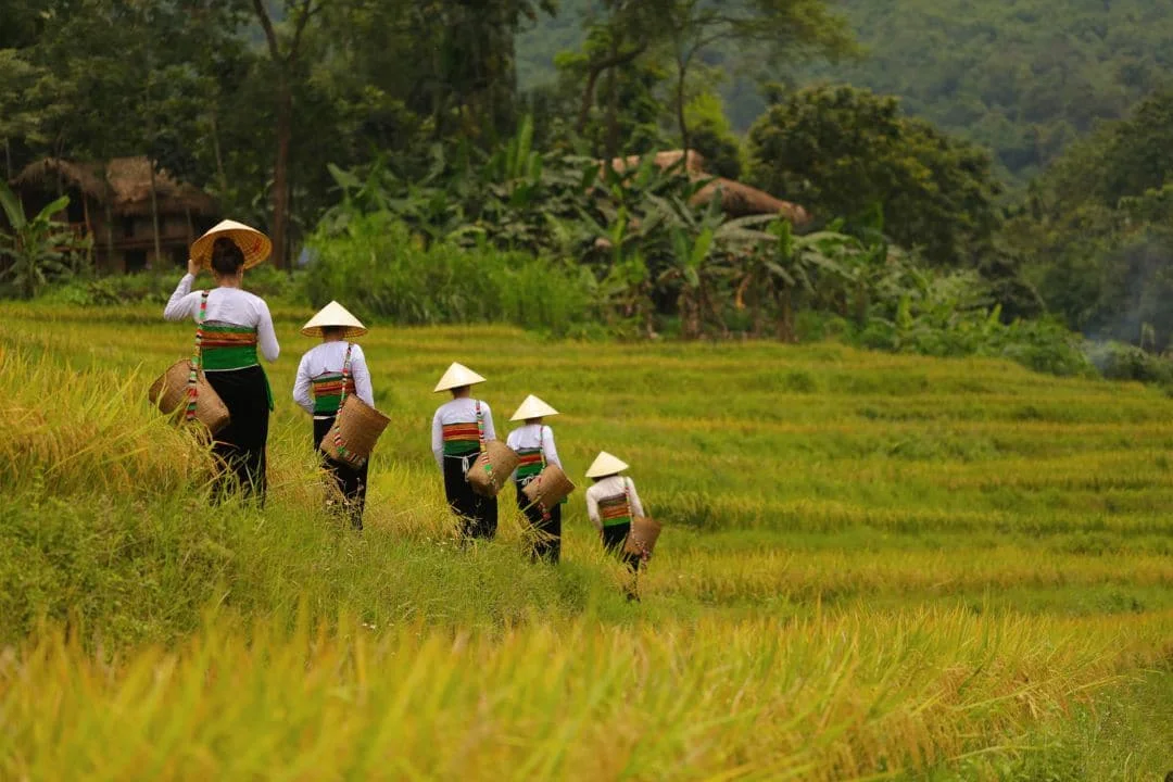 Is Pu Luong Worth Visiting? A Complete Guide for First-Time Travelers