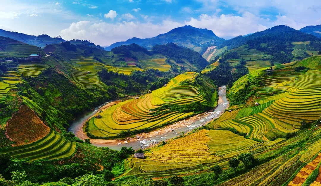 Mu Cang Chai Luxury Travel Guide: Best Hotels, Must-See Sights & Top Experiences