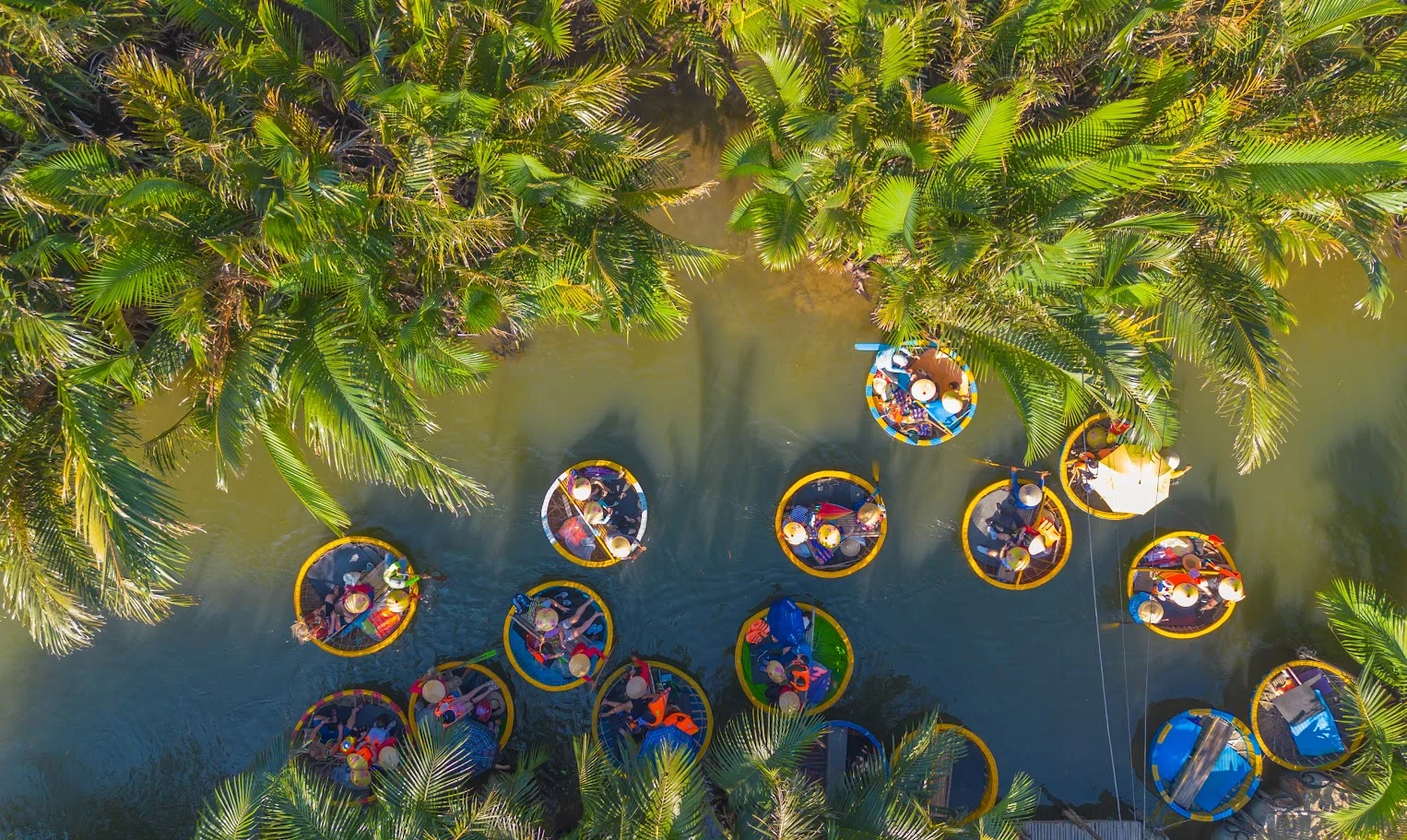 Bay Mau Coconut Forest, Hoi An – A Unique Eco-Tourism Experience in Central Vietnam